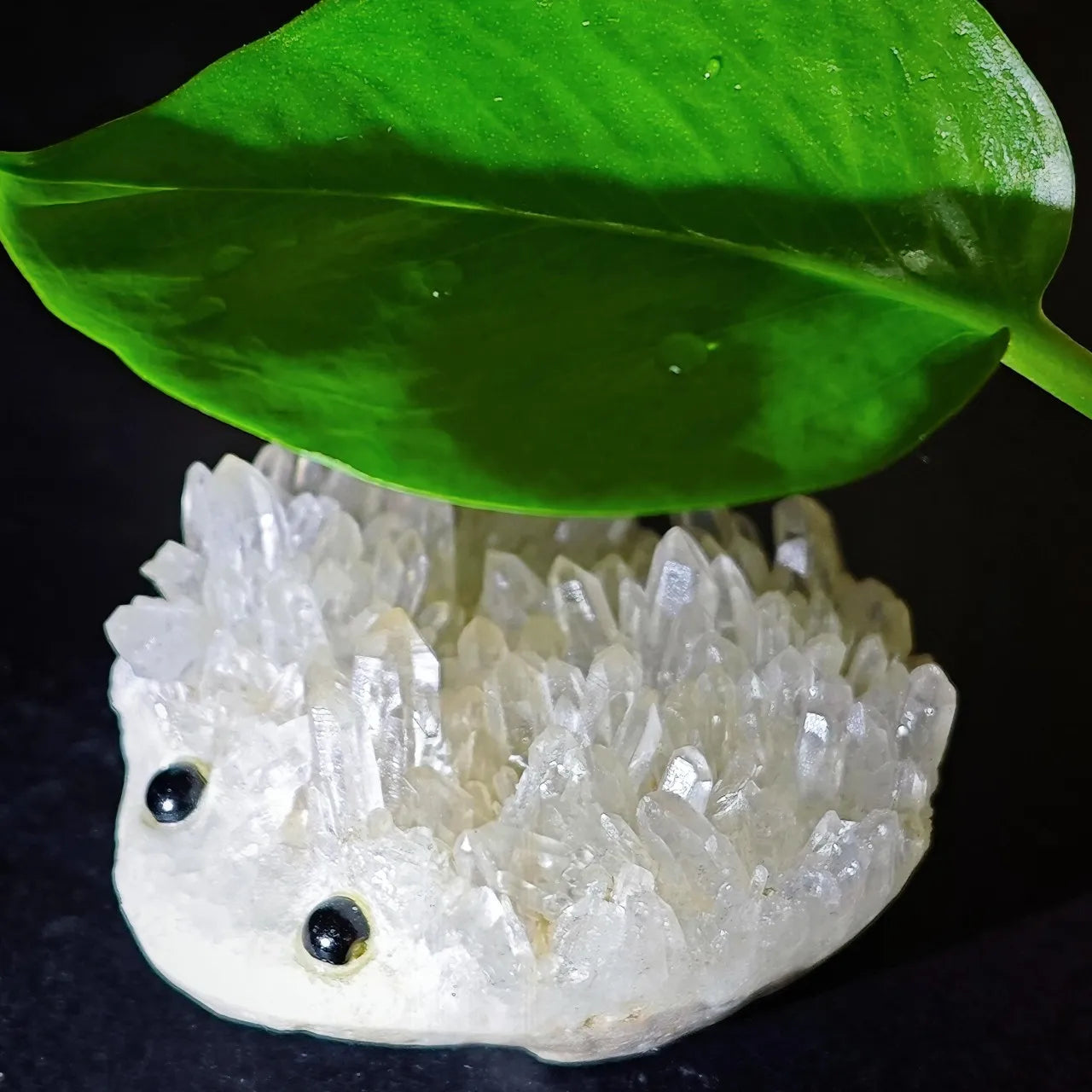 Crystal Hedgehog Rider Small