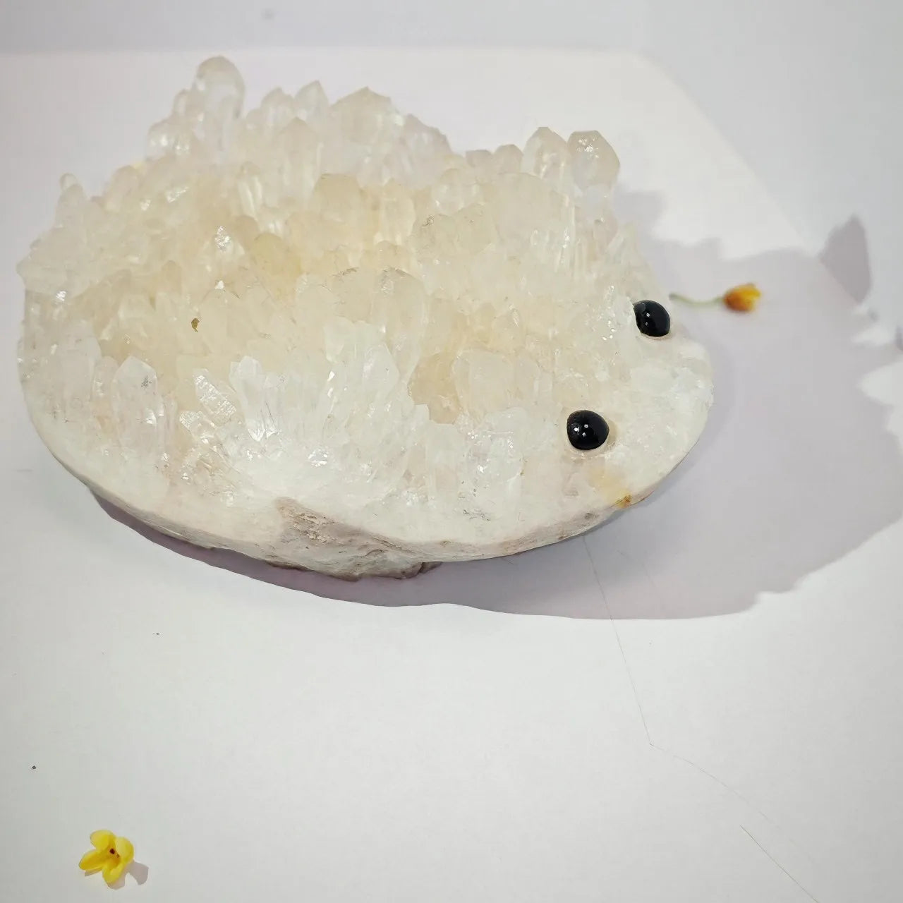 Crystal Hedgehog Rider Middle