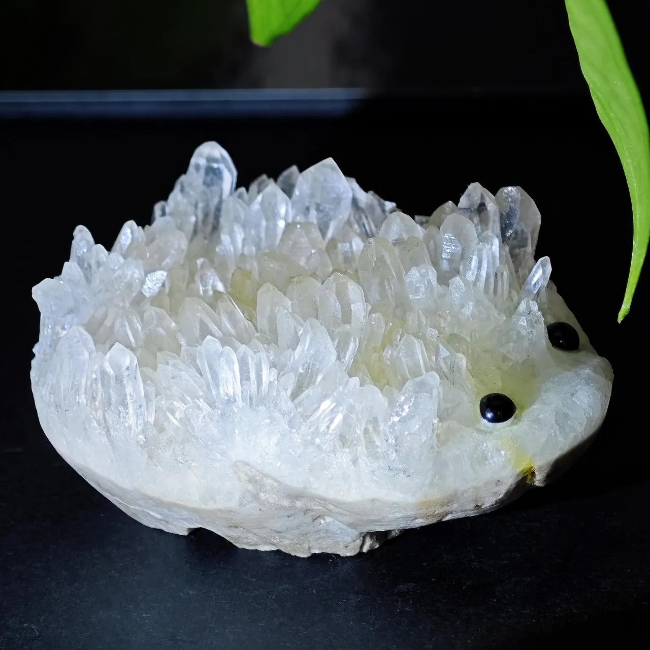 Crystal Hedgehog Rider Middle