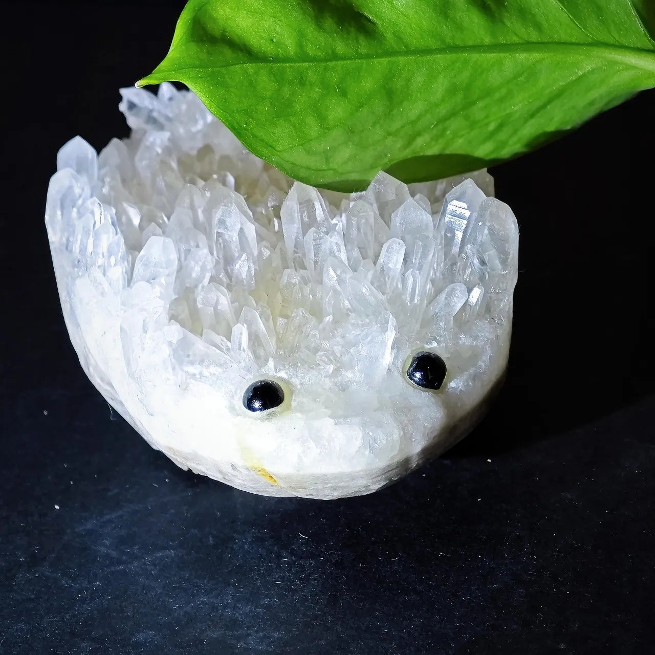 Crystal Hedgehog Rider Middle