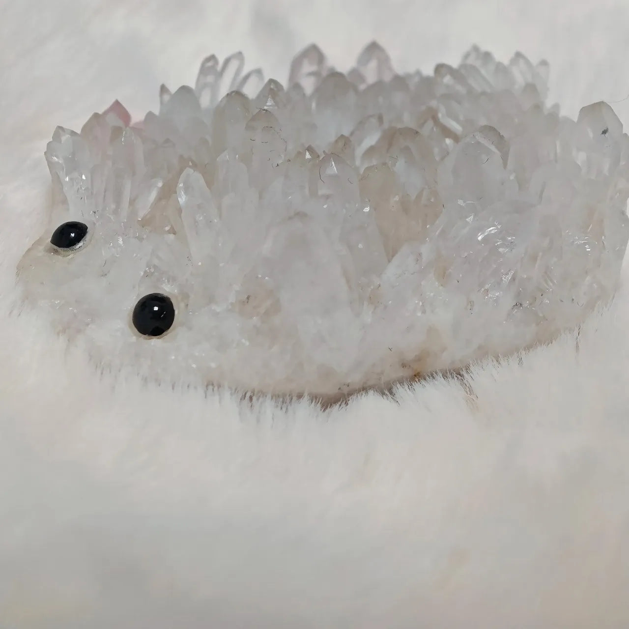 Crystal Hedgehog Rider Middle
