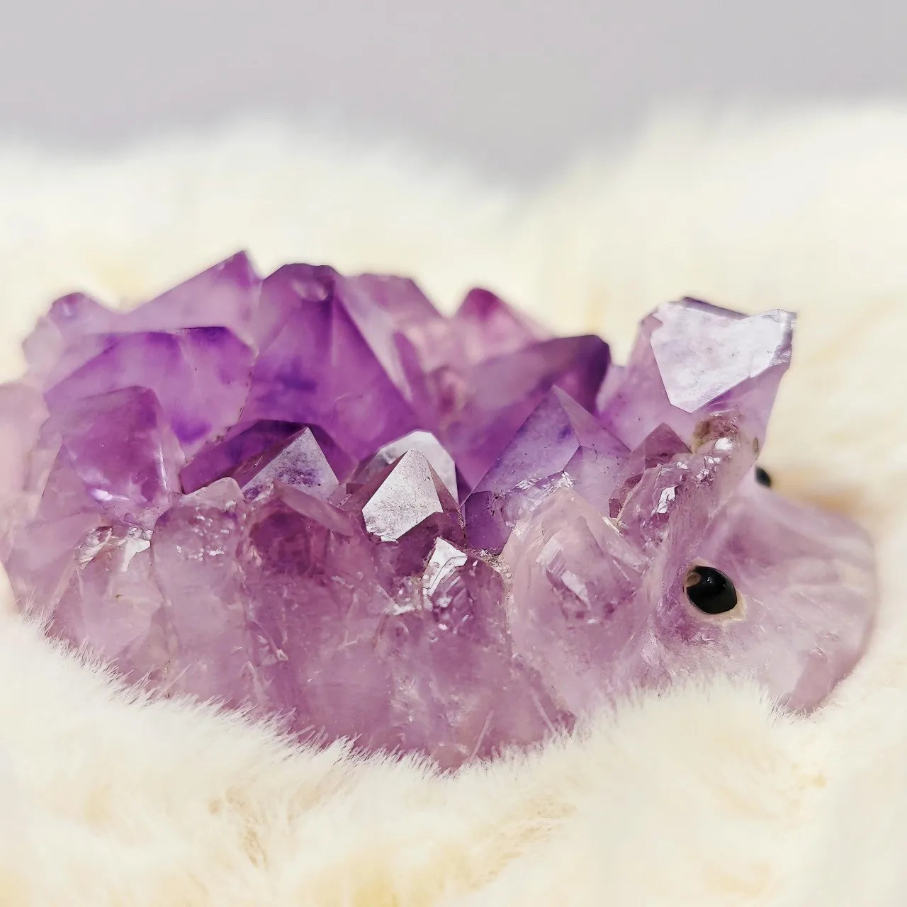 Crystal Hedgehog Rider Purple