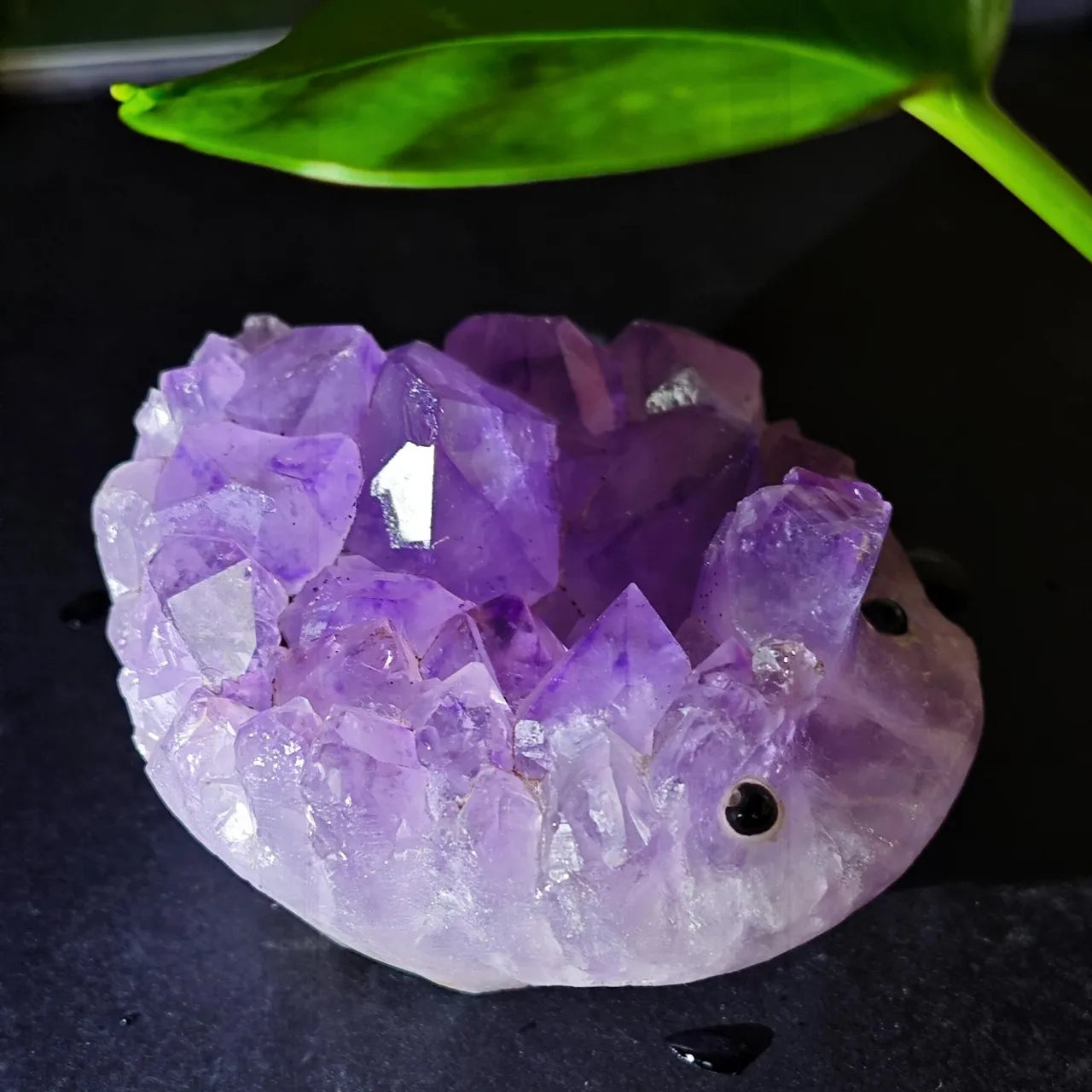Crystal Hedgehog Rider Purple