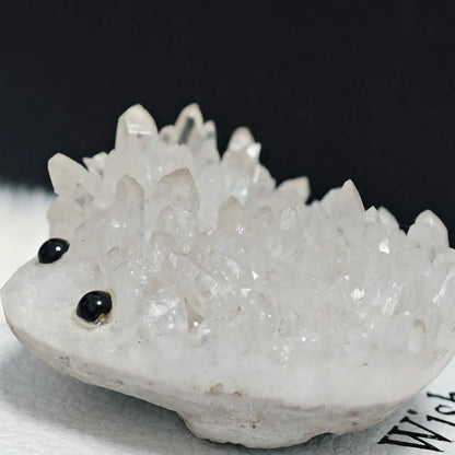 Crystal Hedgehog Rider Small