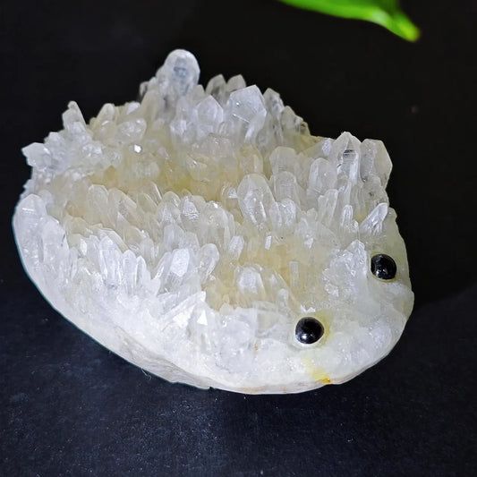 Crystal Hedgehog Rider Middle