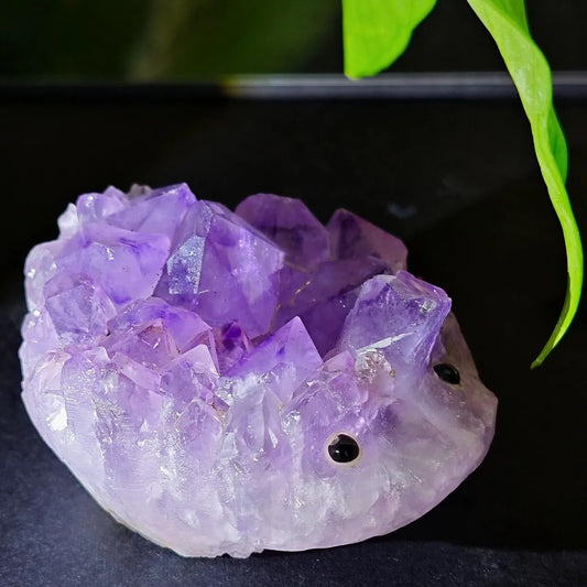 Crystal Hedgehog Rider Purple
