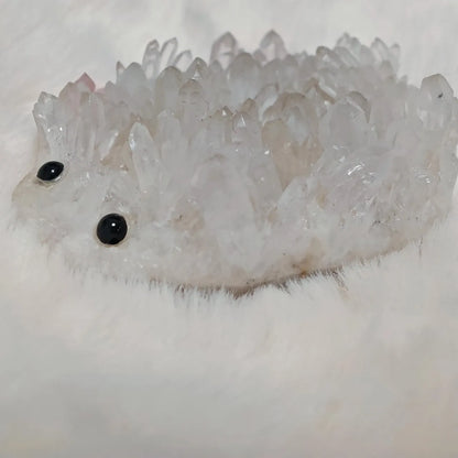 Crystal Hedgehog Rider Middle