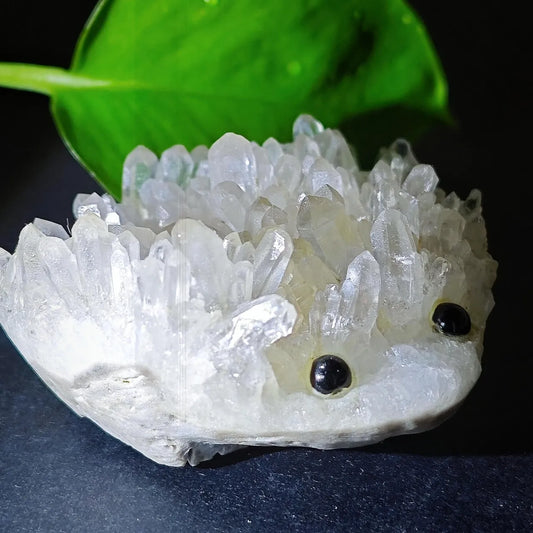 Crystal Hedgehog Rider Small